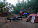 Camp Olowalu - Again
